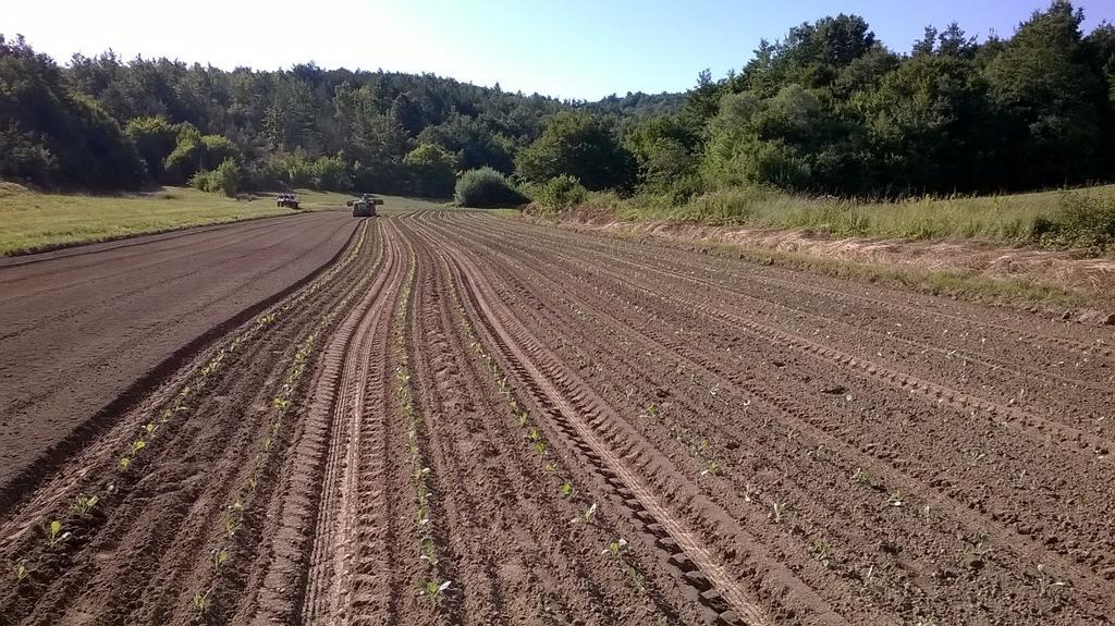 Agroturism Stara Stala 호텔 Borut 외부 사진
