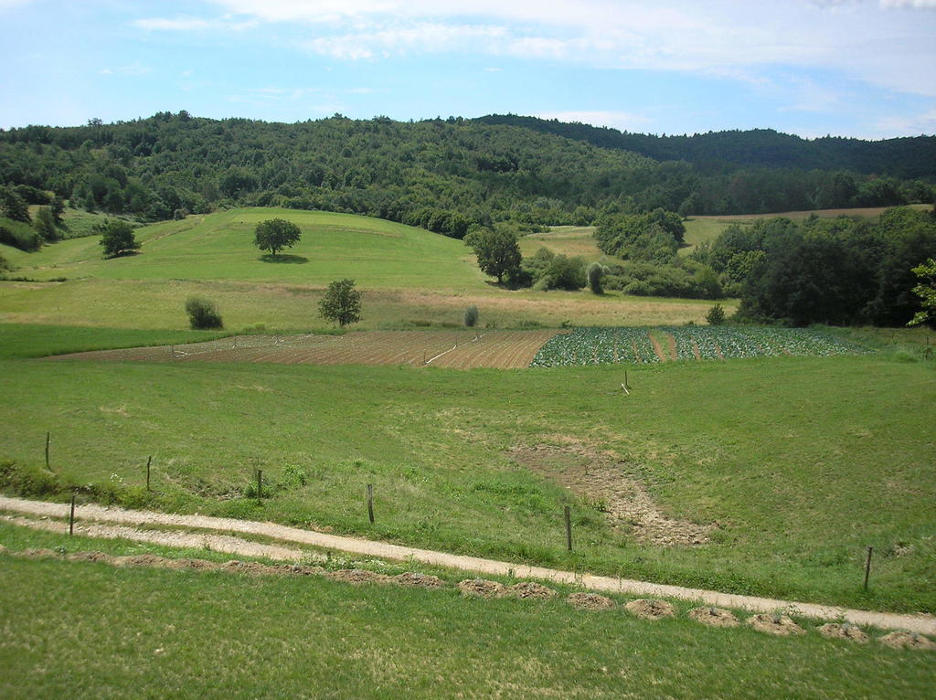 Agroturism Stara Stala 호텔 Borut 외부 사진