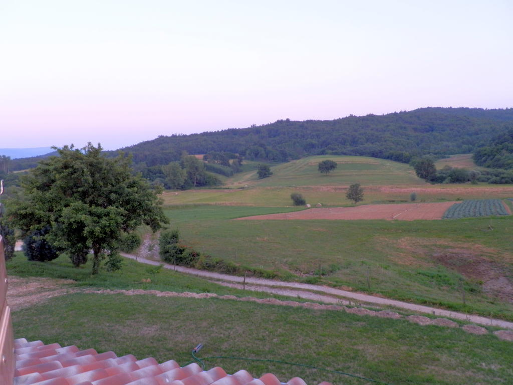 Agroturism Stara Stala 호텔 Borut 객실 사진